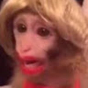 Meet your Posher, Nicki